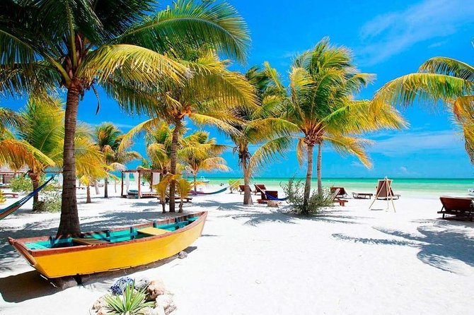Holbox Island Full Day Trip with Lunch From Playa del Carmen - Transport, timing, and the pickup point that can change your morning