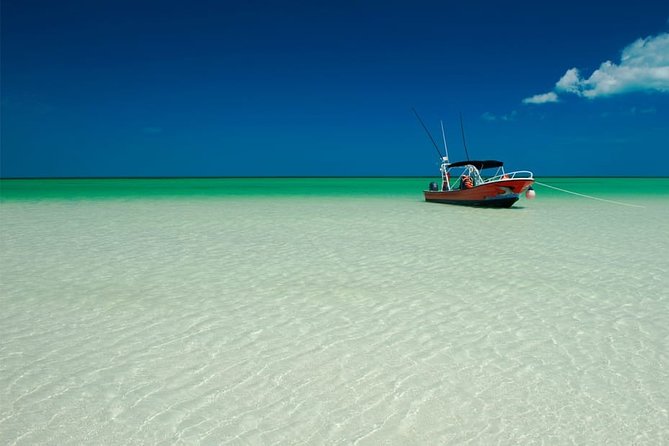 Holbox Island Full Day Trip with Lunch From Playa del Carmen - When English matters: what to expect from guide communication