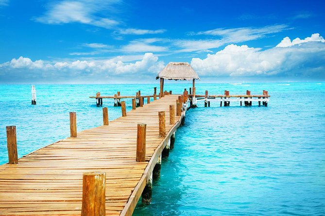 Holbox Island Full Day Trip with Lunch From Playa del Carmen - Isla Pasión to Holbox: tiny nature moments that matter