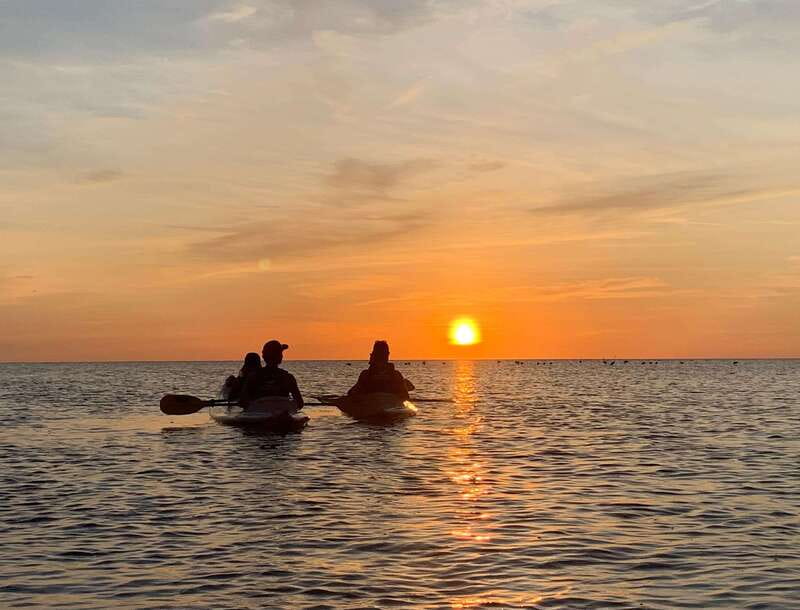 Holbox: Mangrove Sunset Kayak Tour - Key highlights to focus on