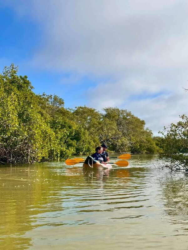 Holbox: Mangrove Sunset Kayak Tour - American Crocodiles at a Distance, With Real Respect Rules