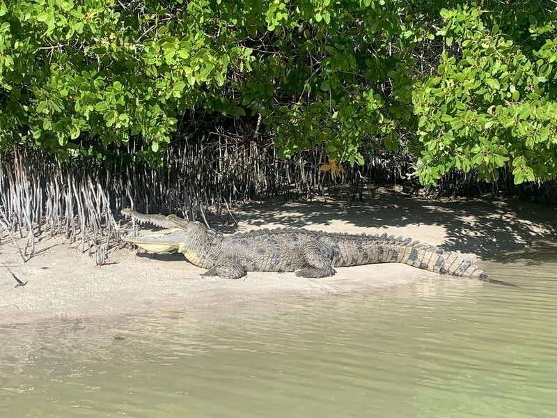 Holbox: Mangrove Sunset Kayak Tour - The Mid-Tour Snack Stop and How to Stay Comfortable