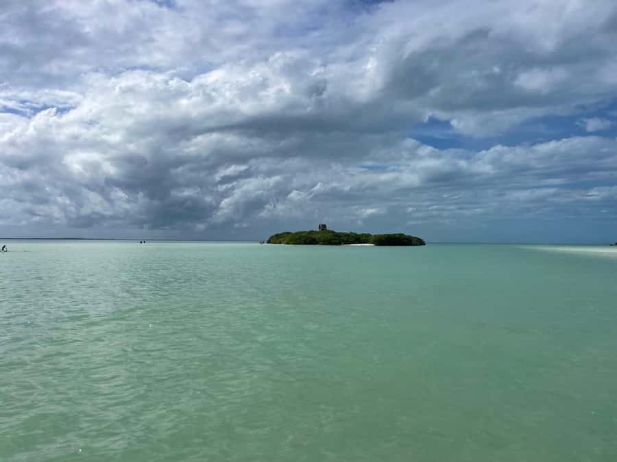 Holbox: Punta Mosquitos, Birds & Pasión Island Boat Tour - Key Things I’d Focus On Before Booking