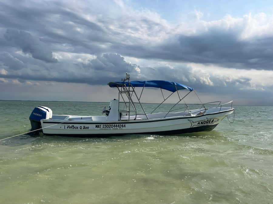 Holbox: Punta Mosquitos, Yalahau, & Pasión Island Boat Tour - What the Day Feels Like on the Water (and with the Guide)