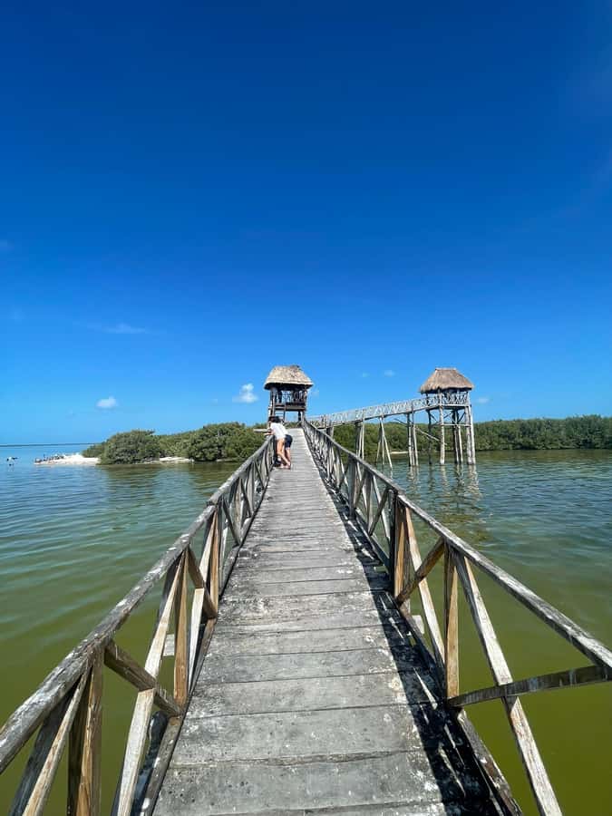 Holbox: Punta Mosquitos, Yalahau, & Pasión Island Boat Tour - Price and Value: Is $38 a Good Deal?