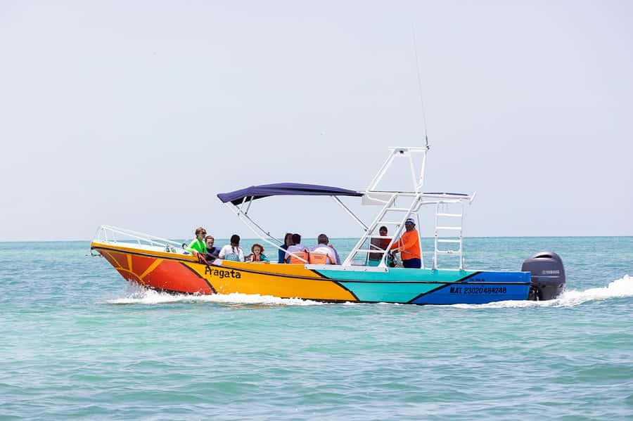 Holbox: Search and Swim with Whale Sharks ! All Inclusive. - Key things you will care about on this Holbox whale shark tour