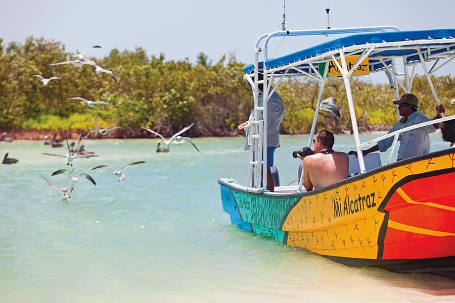 Holbox: Search and Swim with Whale Sharks ! All Inclusive. - Who should book this, and who should skip it