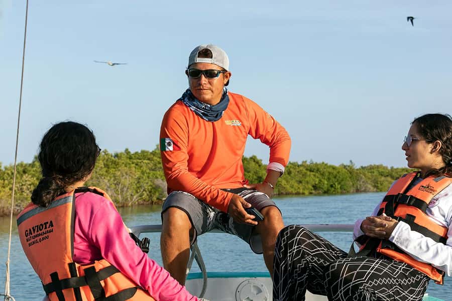 Holbox: Search and Swim with Whale Sharks ! All Inclusive. - Speedboat time: why “6 hours” still feels like a day