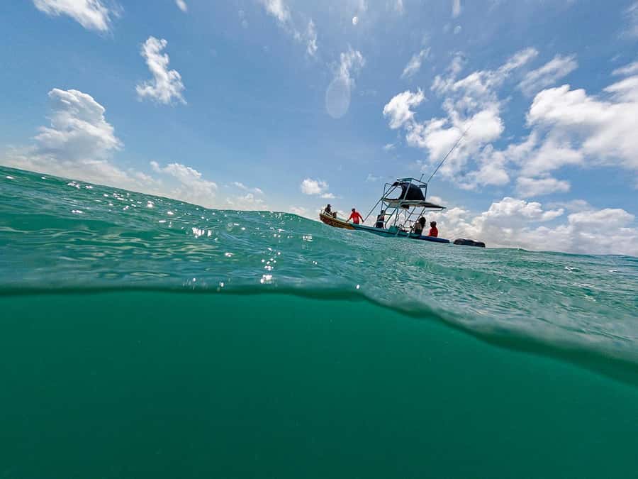 Holbox: Search and Swim with Whale Sharks ! All Inclusive. - Cabo Catoche: beach break, snorkeling time, and a chance to reset
