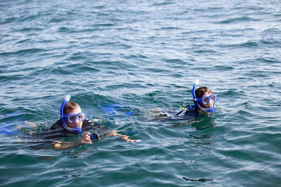 Holbox: Search and Swim with Whale Sharks ! All Inclusive. - Price and value: is 224 USD really worth it?