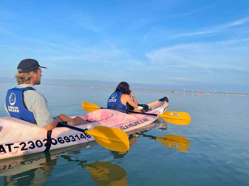 Holbox: Sunrise & Mangrove Kayak Tour - Price and value: what $49 buys besides a sunrise photo
