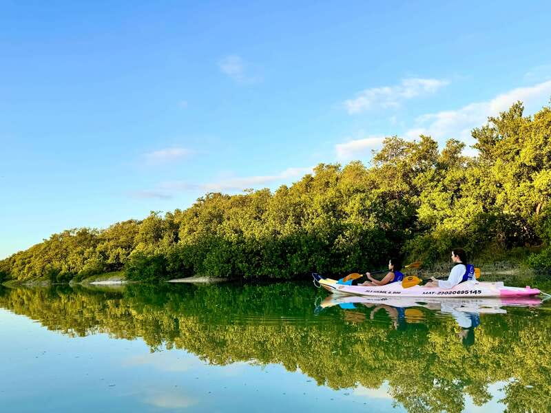 Holbox: Sunrise & Mangrove Kayak Tour - Entering the protected mangrove world: birds, silence, and what calm paddling changes