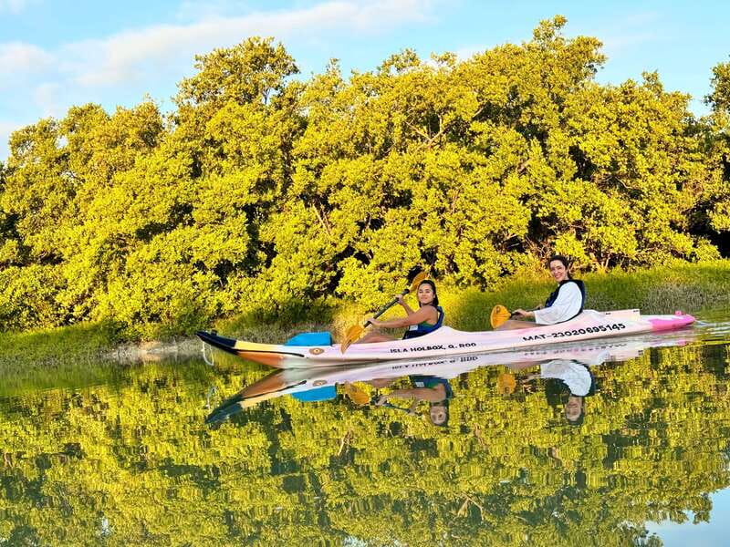 Holbox: Sunrise & Mangrove Kayak Tour - Your morning start: hotel pickup, golf cart rides, and an early aperitif vibe
