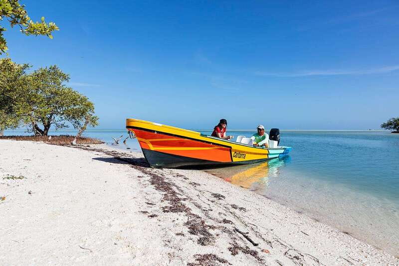 Holbox: Yum Balam Reserve Classic Boat Tour - Price and value: what $36 buys you for a 3-hour nature route