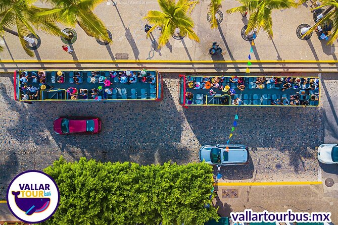 Hop On Hop Off Tour with Free Stops in Puerto Vallarta - How the ride works, and why starting at the Marina helps