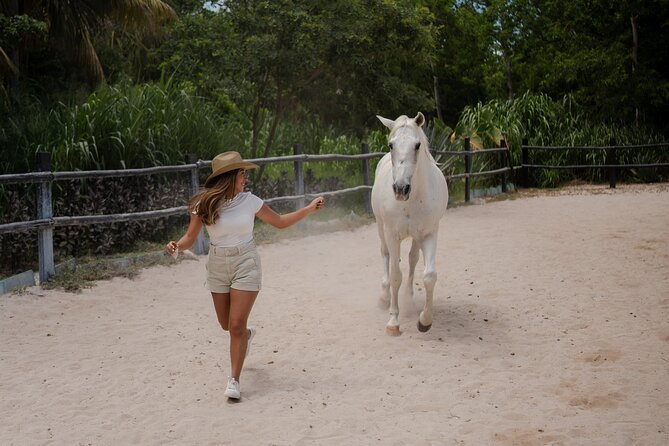 Horseback Riding and Cenote Swim from Cancun or Playa del Carmen - Riding rescued horses through Yucatan jungle paths