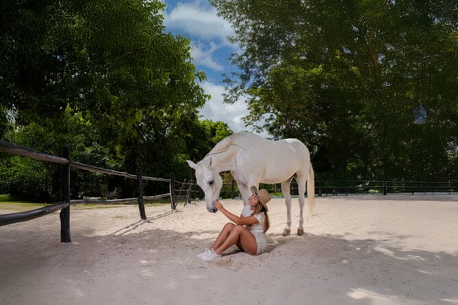 Horseback Riding and Cenote Swim from Cancun or Playa del Carmen - What happens on the trail: plants, Mayan connections, and the fun learning stops