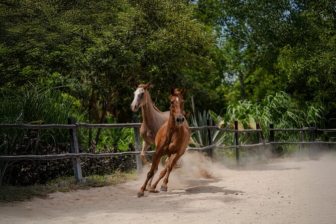 Horseback Riding and Cenote Swim from Cancun or Playa del Carmen - Snacks, drinks, and the photo question before you buy