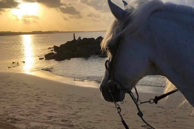Horseback Riding in Sayulita Through Jungle Trails to the Beach - Sayulita, San Francisco, and Punta de Mita Views Along the Route