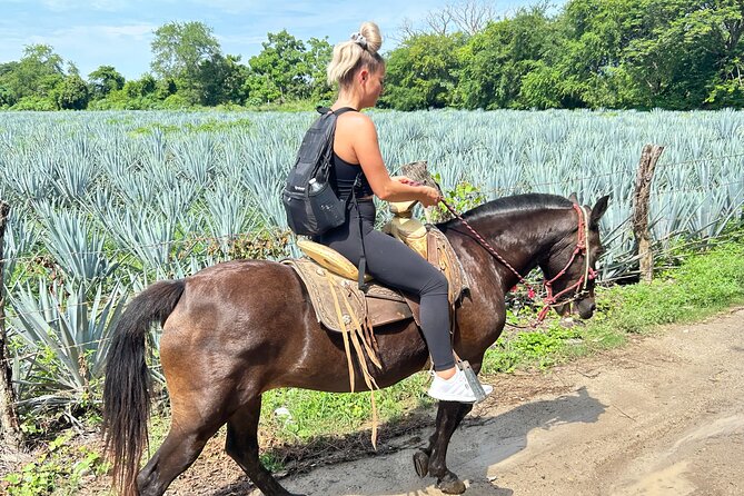 Horseback Riding & Swim: Tequila Tasting, BBQ & Margaritas - Salsa-making, Mexican BBQ lunch, and unlimited lemon margaritas