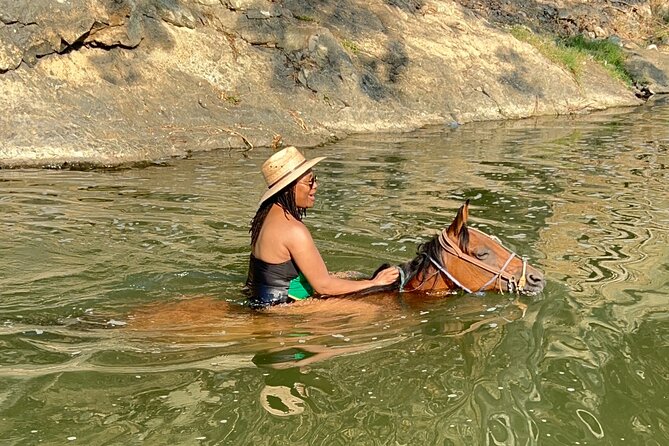 Horseback Riding & Swim: Tequila Tasting, BBQ & Margaritas - How long it really takes, how the group size affects the vibe, and transport basics