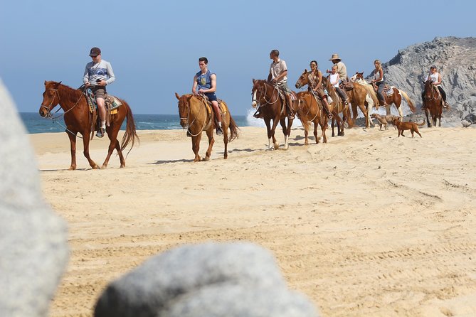 Horseback Riding Tour in Cabo San Lucas - Key Things to Know Before You Go