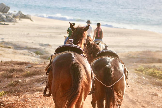 Horseback Riding Tour in Cabo San Lucas - Rancho Carisuva, Baja Ranch to Pacific Coast in One Ride