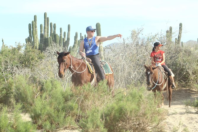 Horseback Riding Tour in Cabo San Lucas - In The Saddle: Desert Trail Stops, 20-Foot Cacti, and Ocean Canter