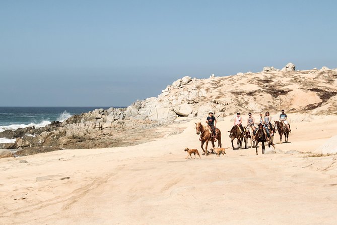 Horseback Riding Tour in Cabo San Lucas - Safety, Tack Fit, and How to Protect Your Comfort