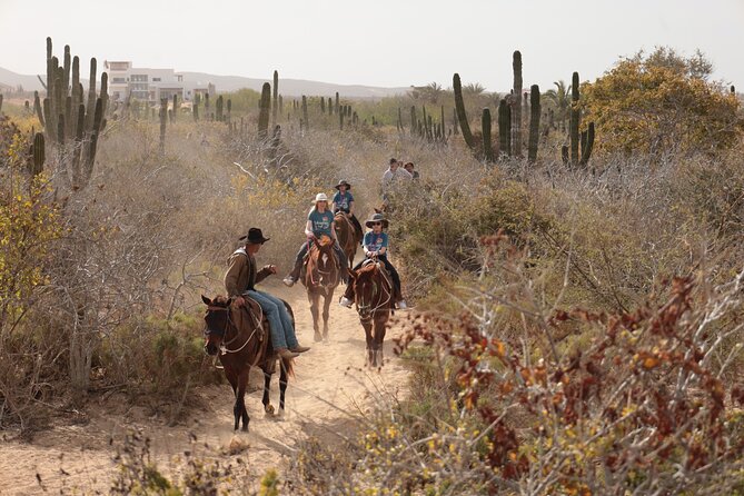 Horseback Riding Tour in Cabo San Lucas - Price Breakdown: $65.86, the $20 Entrance Fee, and Photo Costs
