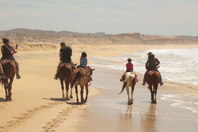 Horseback Riding Tour in Cabo San Lucas - Who Should Book This Cabo Horseback Tour (and Who Should Not)