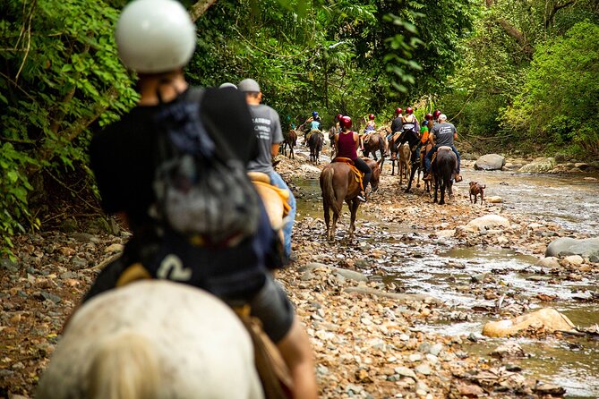 Horseback Riding Tour in Sierra Madre from Puerto Vallarta - Getting the Most Value From $103: Why This Feels Like a Good Deal