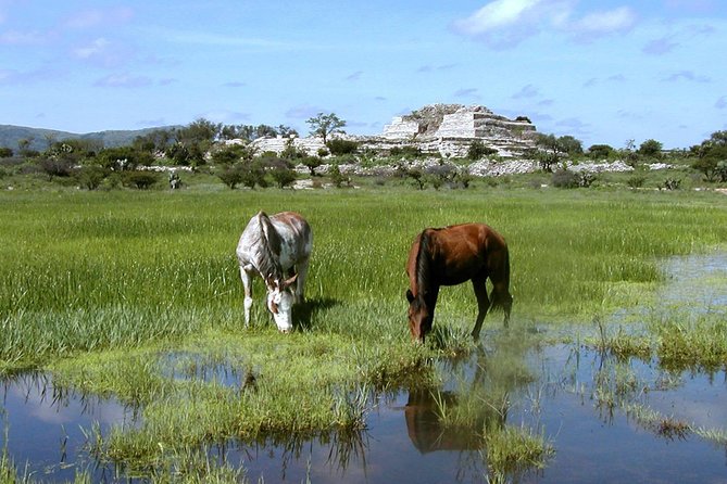 Immersive Cañada de La Virgen Pyramid Tour - Bajio culture context: what your guide teaches you on the ground