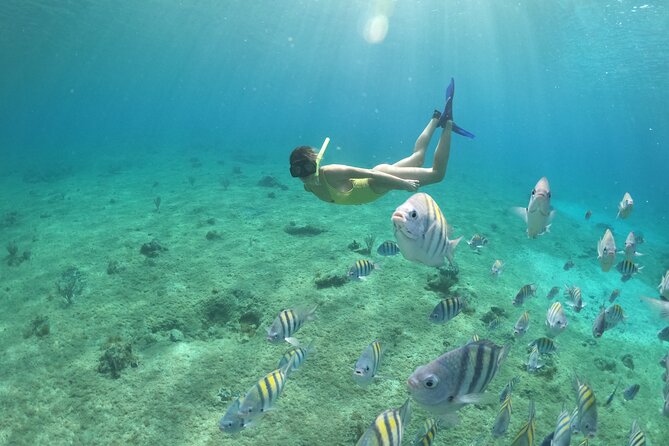 Invisible Boat Snorkeling Tour - Getting On and Off the Boat Without Stress