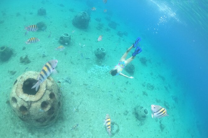 Invisible Boat Snorkeling Tour - Who Should Book This Invisible Boat Snorkeling Tour