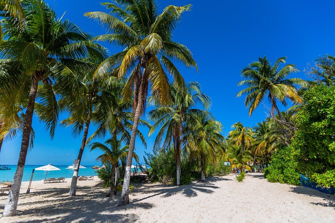 Isla Mujeres Catamaran, Open Bar & Optional Buffet and pick up - Snorkeling at Arrecife El Meco: What You Get, What Can Change