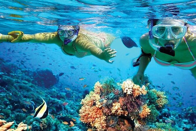 Isla Mujeres Catamaran, Open Bar & Optional Buffet and pick up - Value and Comfort: 30-Person vs 50-Person Choices
