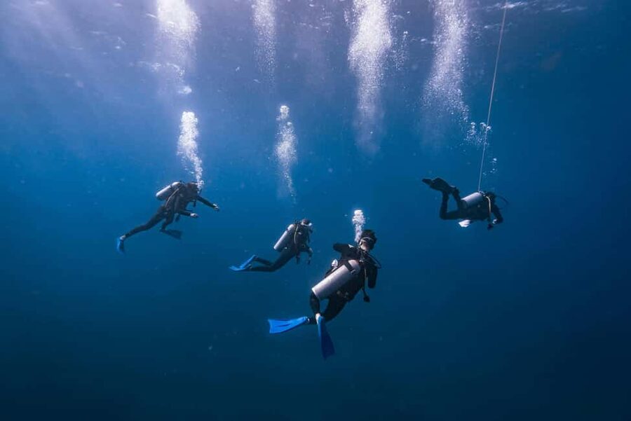 Isla Mujeres: Catamaran Ride with Open Bar, Snorkeling, and Lunch - Catamaran Day Trip Energy: Cancun to Isla Mujeres With Open Bar