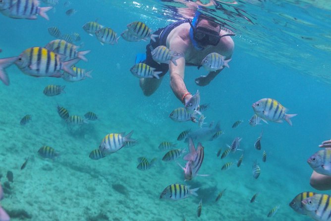 Isla Mujeres Luxury Sailing: Adults Only or Family Friendly - Isla Mujeres Stop 1: Free Time That Lets You Choose Your Own Pace