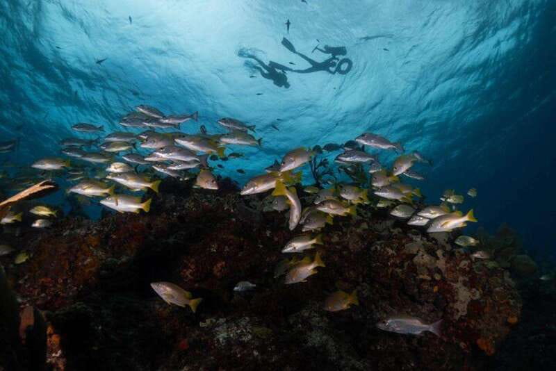 Isla Mujeres: Snorkel Tour at Musa and Manchones Reef - How the 4 hours usually flow on the water