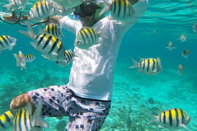 Isla Mujeres: Snorkeling Adventure at the Underwater Museum - Sac Bajo Reef: Where You Want to Keep Your Eyes Moving