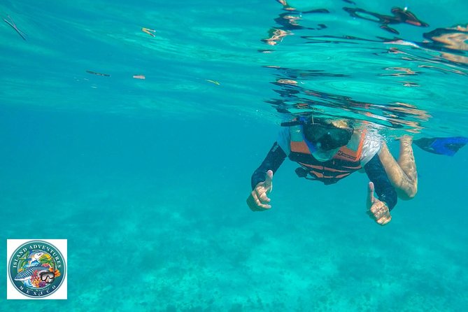 Isla Mujeres Snorkeling Tour Adventure - Food and drinks: ceviche, margaritas, and a real meal at the end
