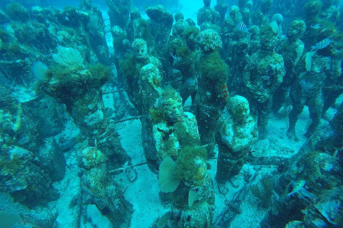 Isla Mujeres Snorkeling Tour Adventure - Gear reality check: included equipment is fine, but your comfort counts