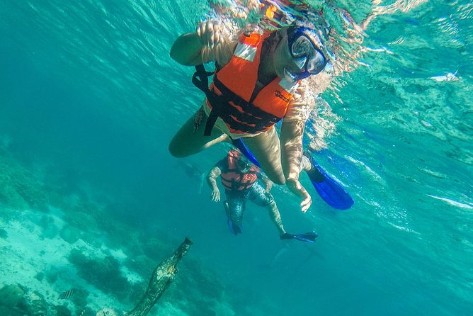Isla Mujeres Snorkeling Tour Adventure - Stop 1 at Lighthouse Reef: a shallow float with lots of fish