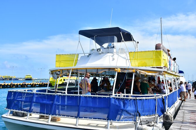 Isla Mujeres Unlimited! Fun & Party with transportation - Punta Sam Reef Snorkeling: Marine Life, Time in the Water, and Real Safety Rules