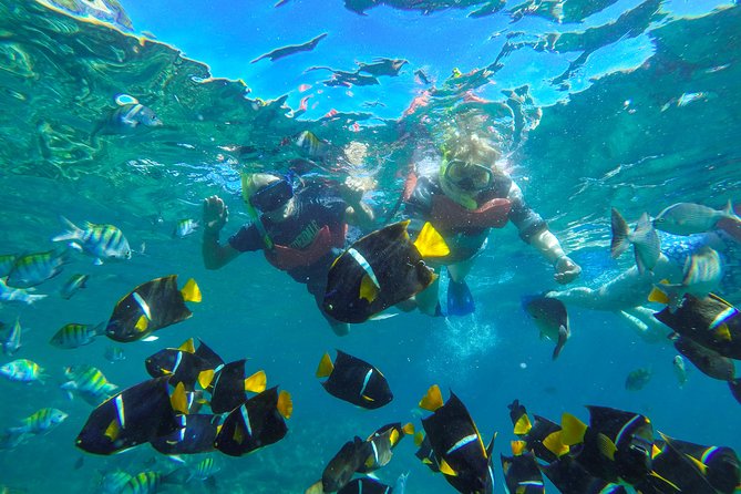 Islas Marietas & BBQ lunch at Majahuitas - Marietas Islands: snorkeling, kayaking, and SUP in real island coves