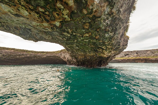 Islas Marietas & BBQ lunch at Majahuitas - Wildlife odds: what you should aim for realistically