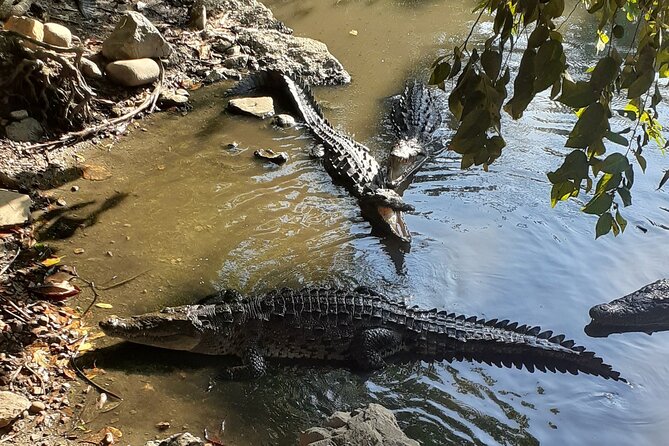 Ixtapa Island Tour - The Boat to Ixtapa Island: Quick, Covered, and Noticeably Fun