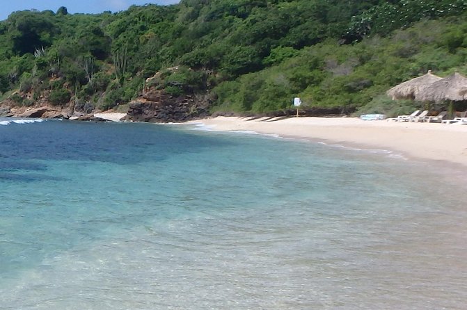Ixtapa Island Tour - Linda Lagoon Stop: Small Walk, Big Animal Energy