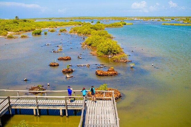 Jeep Safari All Inclusive Private Tour - El Mirador and Playa San Martin on Cozumel’s East Side